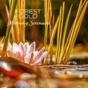 69XX女子私密按摩护理
