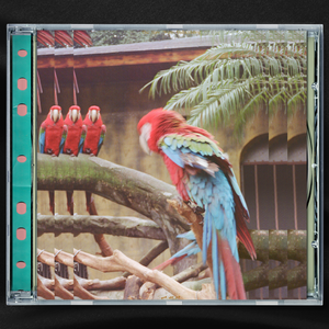 69XX女子私密按摩护理
