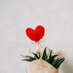 69XX女子私密按摩护理
